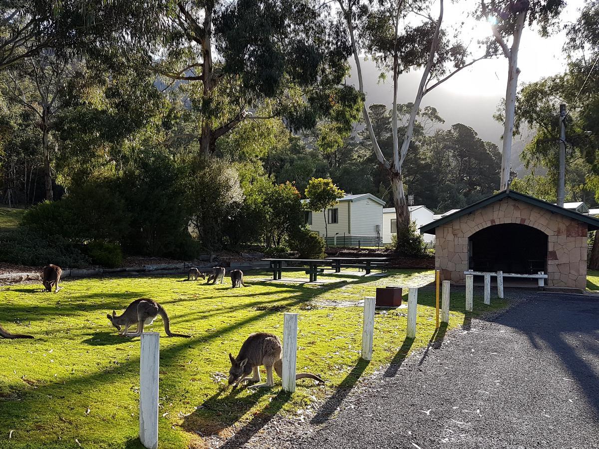 Breeze Holiday Parks - Halls Gap Kültér fotó